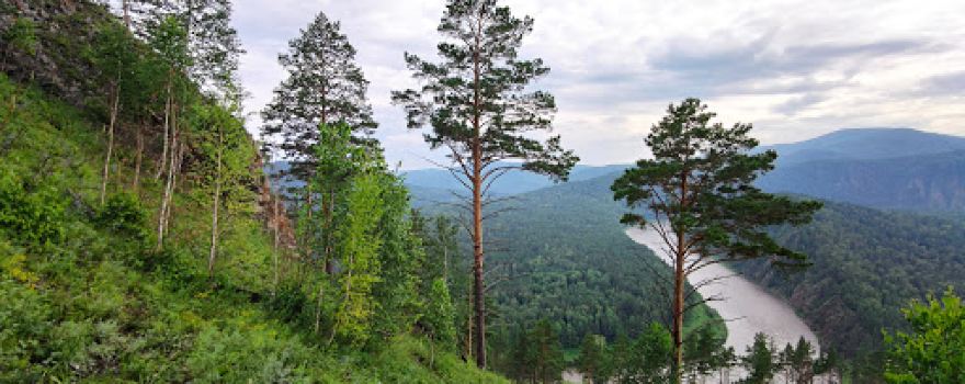 Mana loop overlook