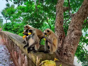 Narmada Kaveri Sangam Omkareshwar