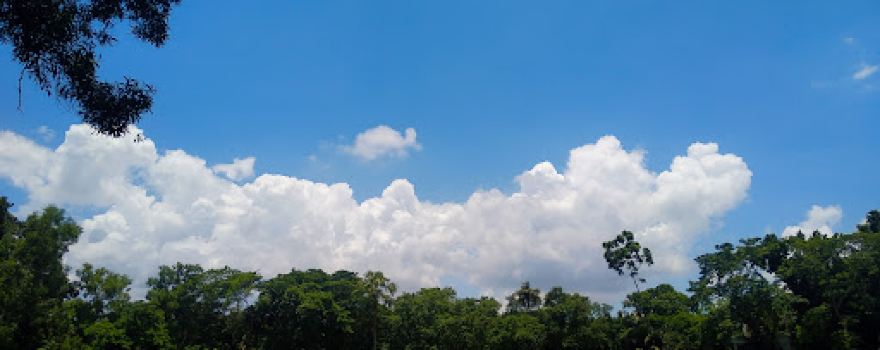 Nagarpur government college field