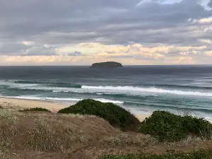 Bird Island