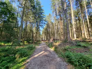 Parkeringsplads Fosdalen