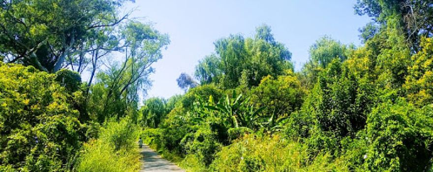 Reserva Costera Municipal de Avellaneda, Eco Área