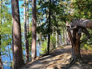 Scenic State Park
