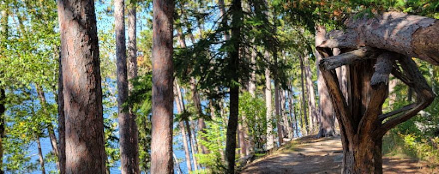 Scenic State Park