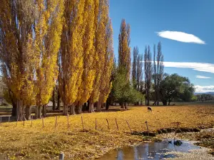 Plaza de Tecka