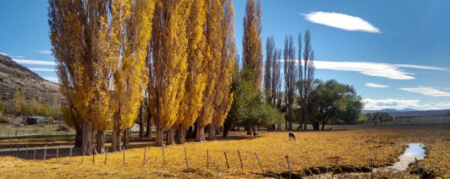 Plaza de Tecka