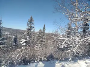 Michipicoten Memorial Community Centre