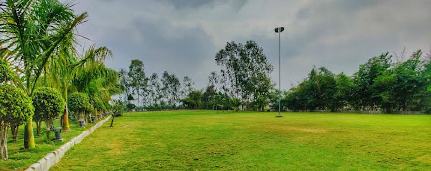 Nilawar farms