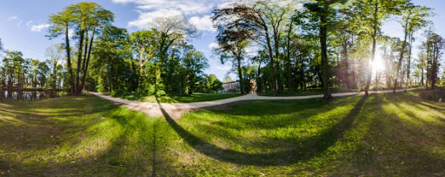 Panorama na Aleje w Parku w Zatoniu - Szlak Nordic Walking Doroty Talleyrand