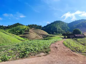 Curve 33, Ban Mae Konken