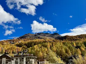 Valtournenche