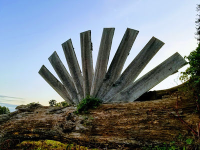 McIntire Park