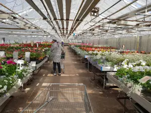 Cramers Blommor AB