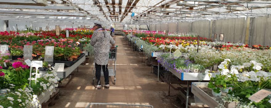 Cramers Blommor AB