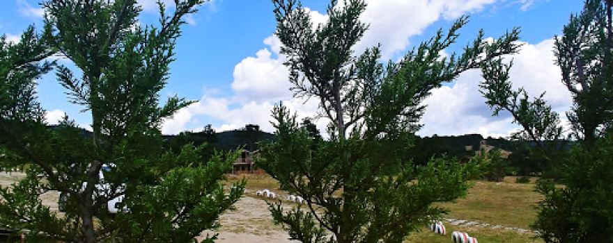 Oksijen Park Kazdaglari