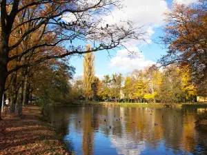 Park Miejski