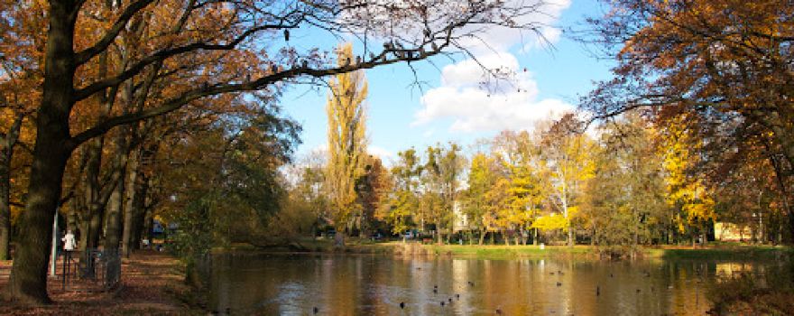 Park Miejski