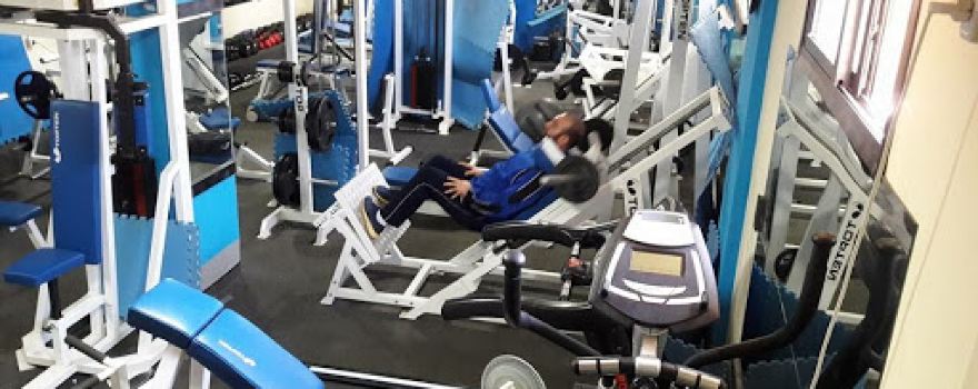 GYM نادي الصقور الحرة لكمال الاجسام
