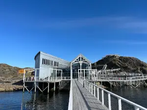 Lofotakvariet - The Lofoten Aquarium