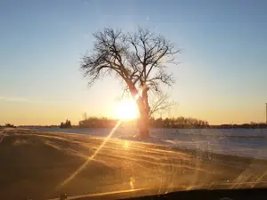 East Bound Halfway Tree