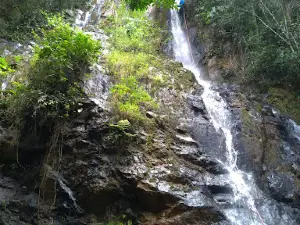 Parque Ambiental Cachoeira da Bica Grande