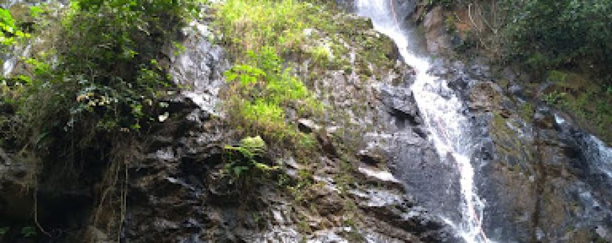 Parque Ambiental Cachoeira da Bica Grande