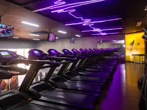 Force One Academia: Musculação, Spinning, Cross, GAP, Academia em Cianorte PR