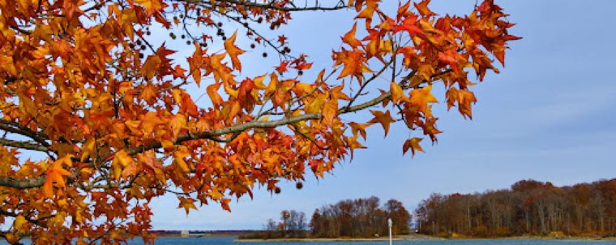 West Branch State Park Beach