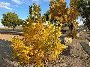 Topaz Lake Recreation Area