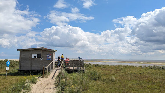 Seehundbänke Langeoog