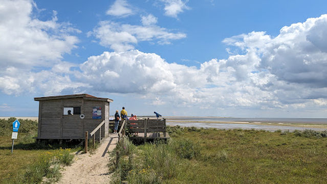 Seehundbänke Langeoog