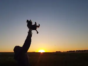 Пруд Высокополье