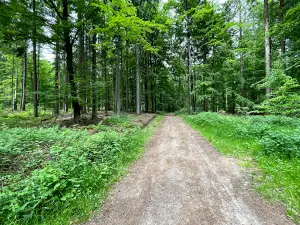 Hahnheide