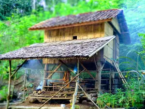 Curup Cangkah Kidau