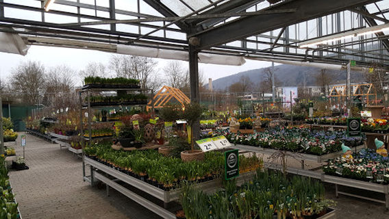 Dehner Garten-Center