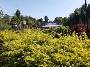 Kamsidha Devstan(Mandir),Rozoda