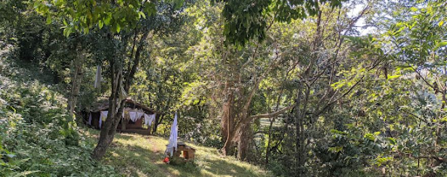कलालिङ्ग मन्दिर ( kalaling temple )