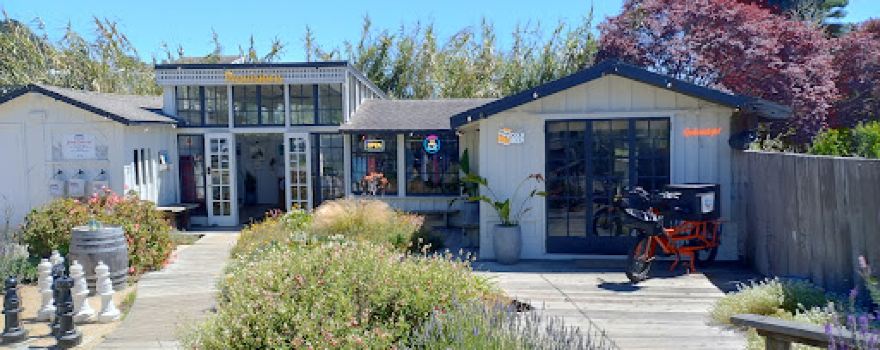 Claudia Chapline Gallery