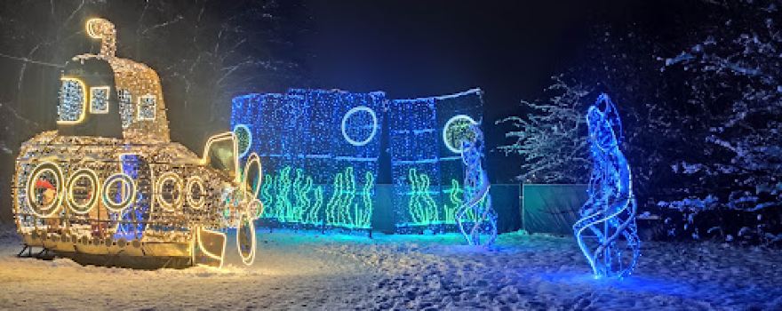 Lumina Park Wrocław - Tajemnicze Ogrody