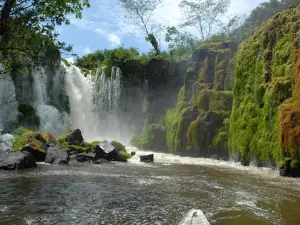 Parc national des montagnes du Tumucumaque