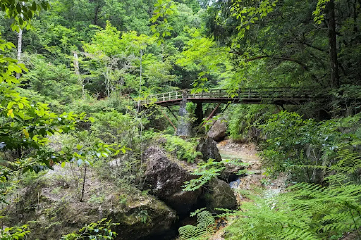 奥三河・乳岩峡周辺(愛知)
