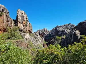 Cerro del Hierro
