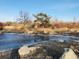 Sertoma Park