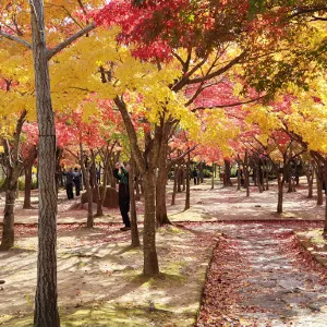 八公山