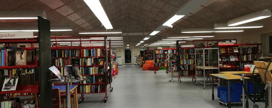 Høng Library