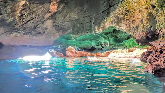 Pig Beach