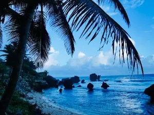 Martins Bay