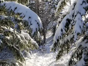Saskatoon Mountain Park