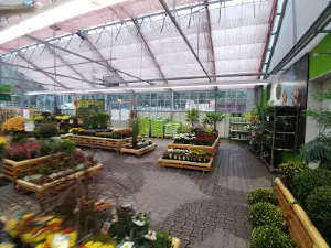 Dehner Garden and Pet Center