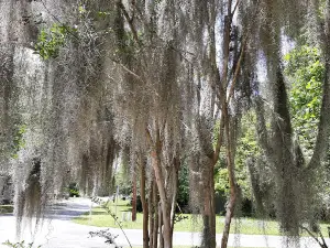 Waterfront Park And Boat Ramp